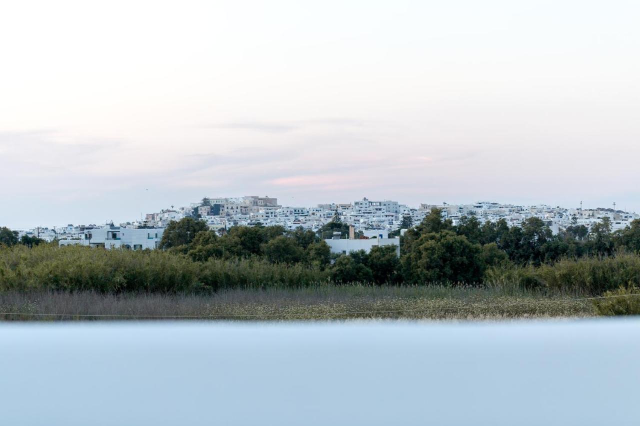 Isalos Villas Naxos Naxos City Ngoại thất bức ảnh